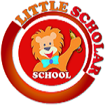 Little Scholar School